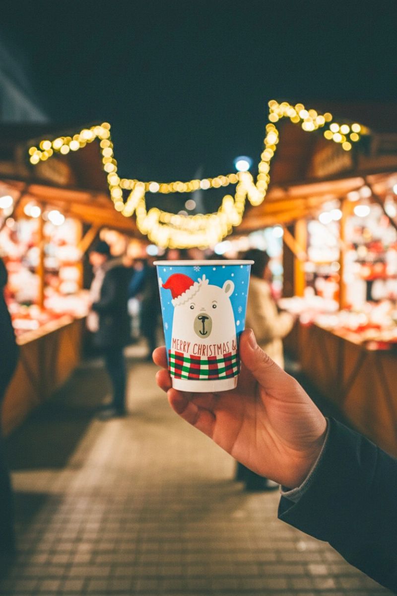 Adventska ponuda čaša 2,5dcl - 5dcl, 25/1 pakiranja